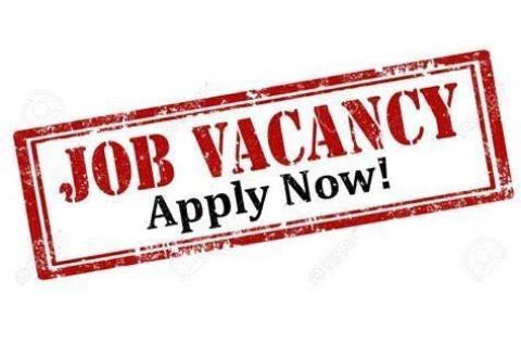 Jobs In Port Harcourt