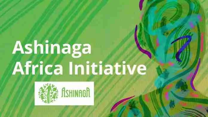 2025 Ashinaga Africa Initiative Scholarship For African Students