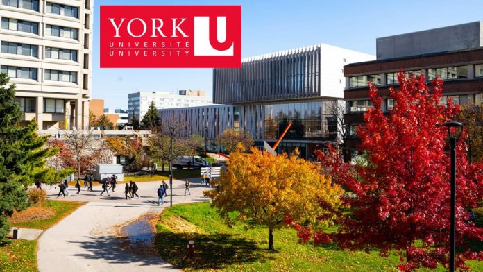 2025 York University Presidential Scholarship