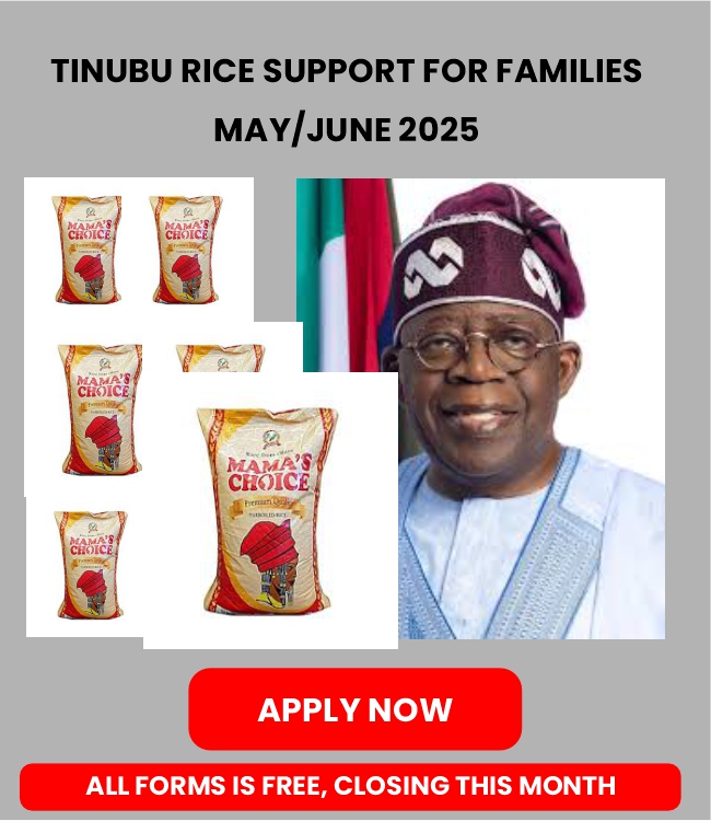 Landing Page For Tinubu